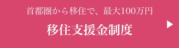 移住支援金制度