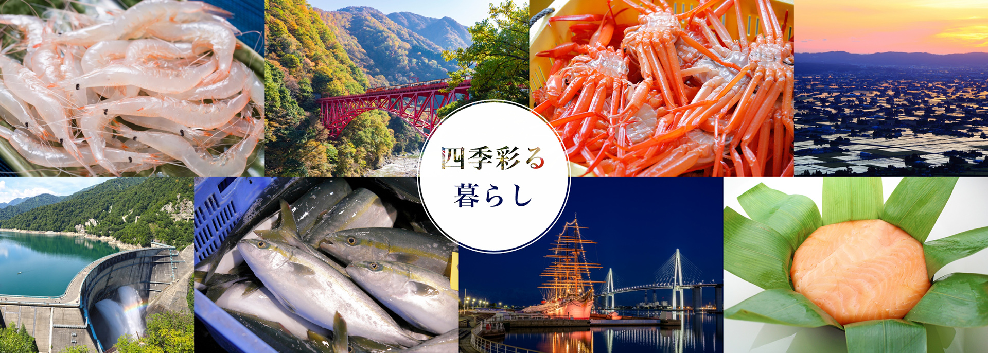 四季彩る暮らし