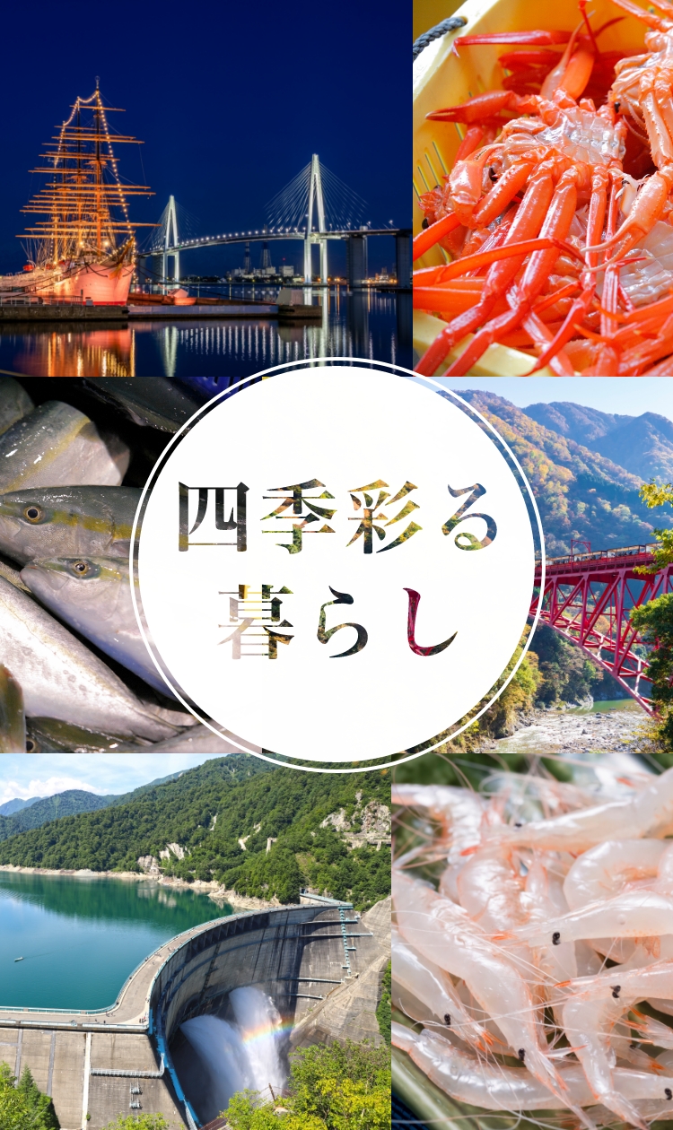 四季彩る暮らし